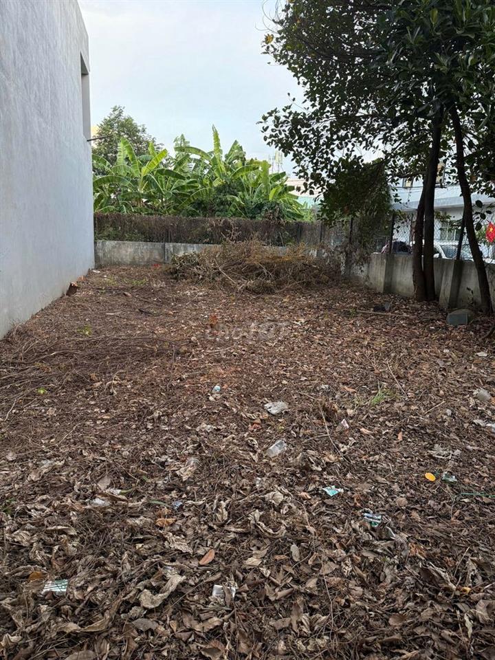 Cho thuê đất lô góc 140m² Cồn Dầu 4–5, có tường rào cổng, 4tr/tháng