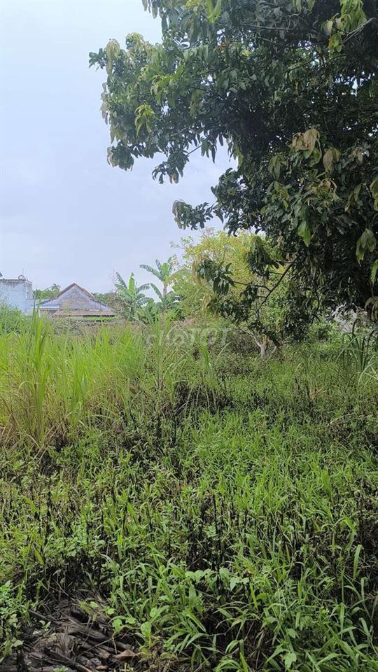 đất MT kiệ ô tô Nam Kỳ khởi Nghĩa Hòa Xuân Đà Nẵng gần chợ đầu mối mới