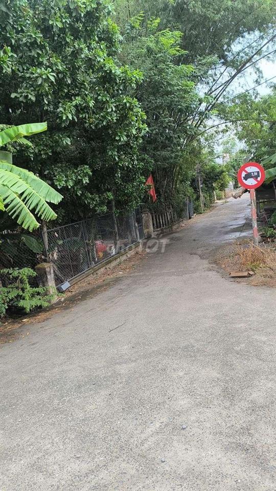 đất MT kiệ ô tô Nam Kỳ khởi Nghĩa Hòa Xuân Đà Nẵng gần chợ đầu mối mới