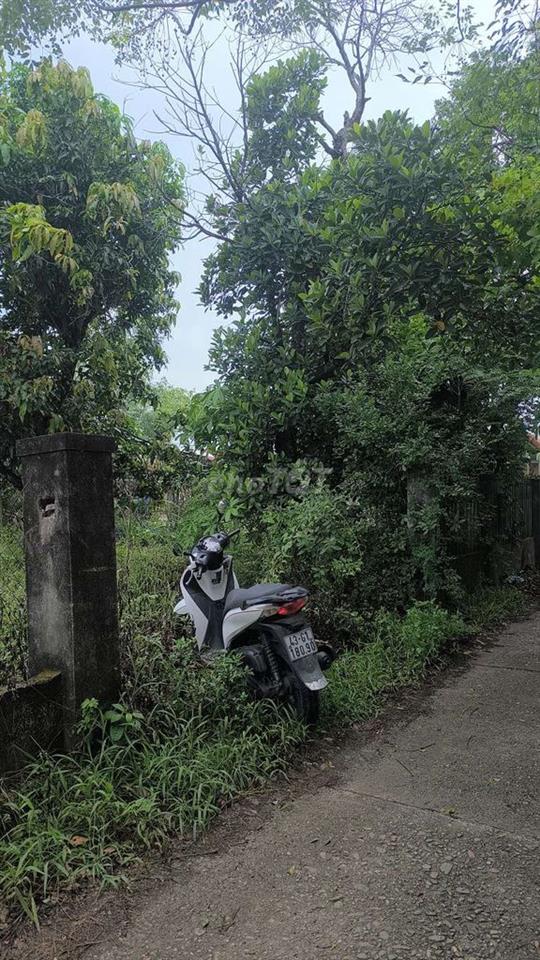 đất MT kiệ ô tô Nam Kỳ khởi Nghĩa Hòa Xuân Đà Nẵng gần chợ đầu mối mới