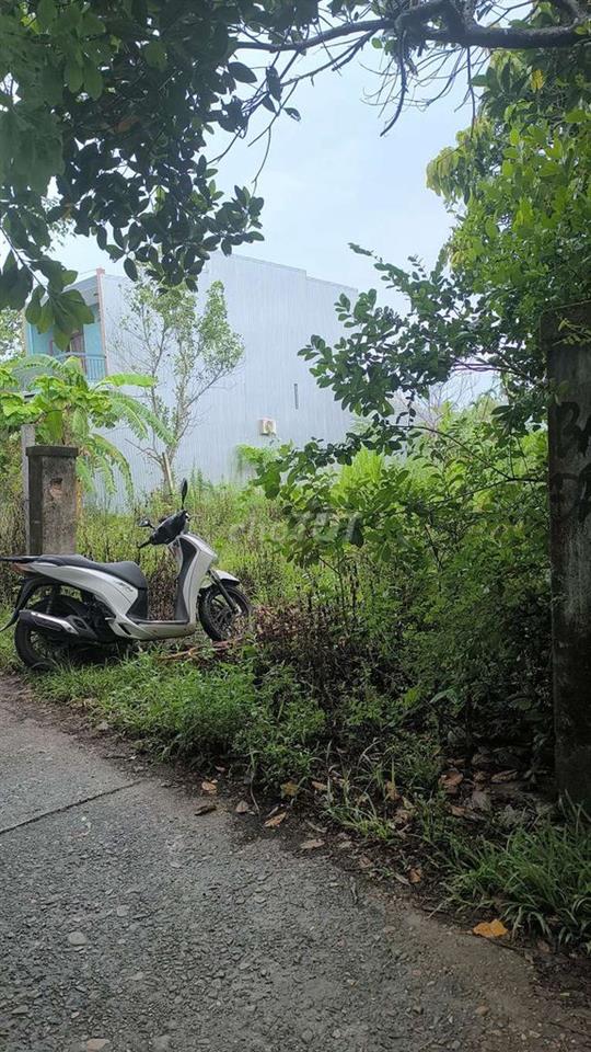 đất MT kiệ ô tô Nam Kỳ khởi Nghĩa Hòa Xuân Đà Nẵng gần chợ đầu mối mới