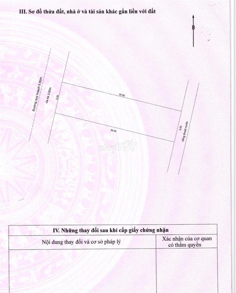 💥Bán gấp Đất mặt tiền gần ngã 3 Âu Cơ và Lạc Long Quân, 100m2 sạch đẹp