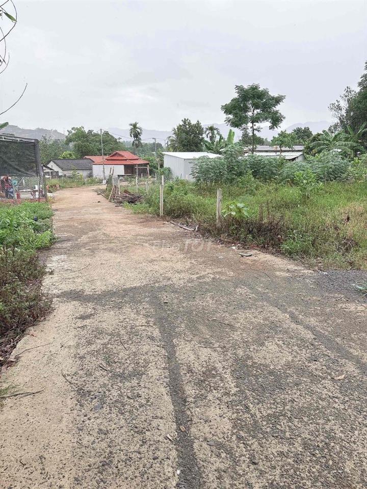 chào bán lô đất xp đường bê tông 5m