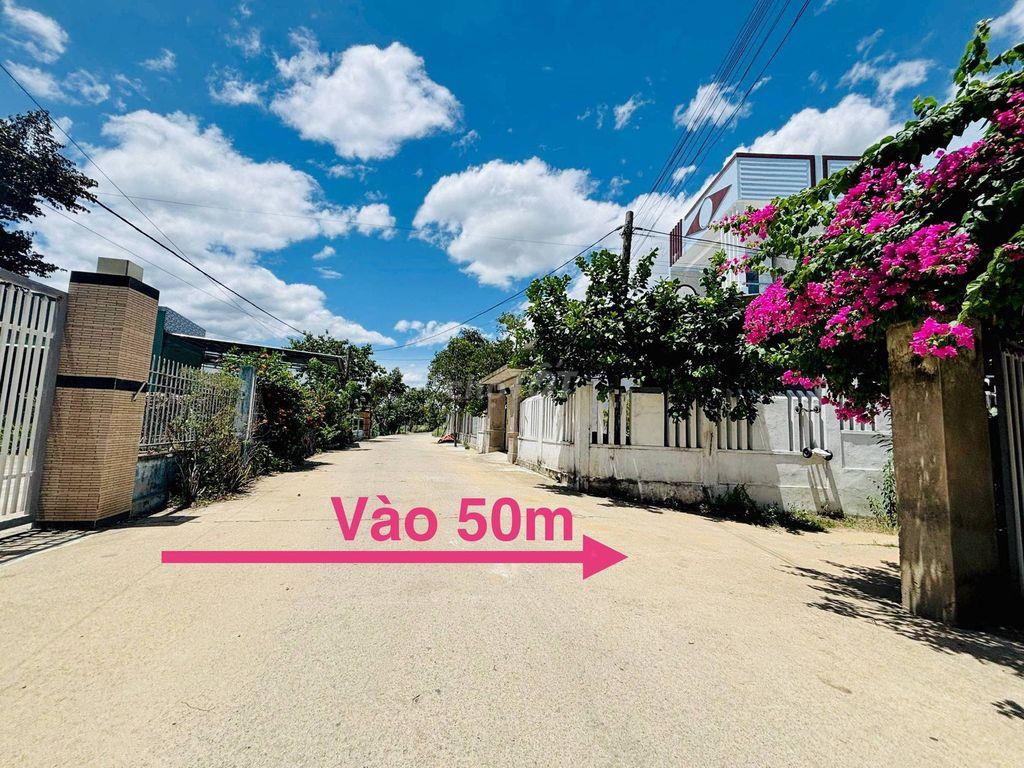 Lô góc 130 m2 ngang 7m Nam Hòa Khương 