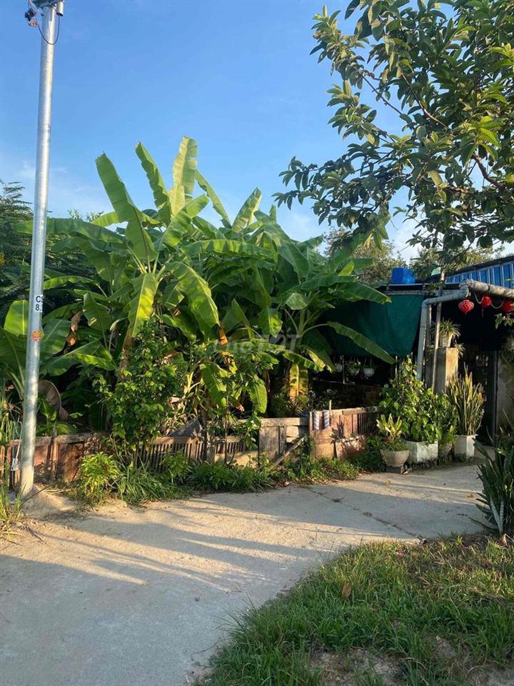 Đất quy chủ k264 Hoàng Văn Thái đã có điện nước