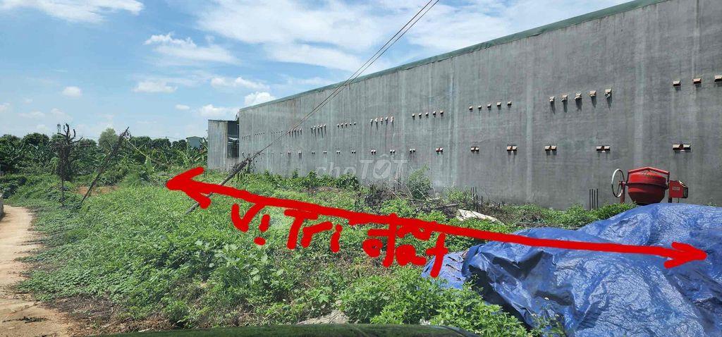 bán đất thổ cư