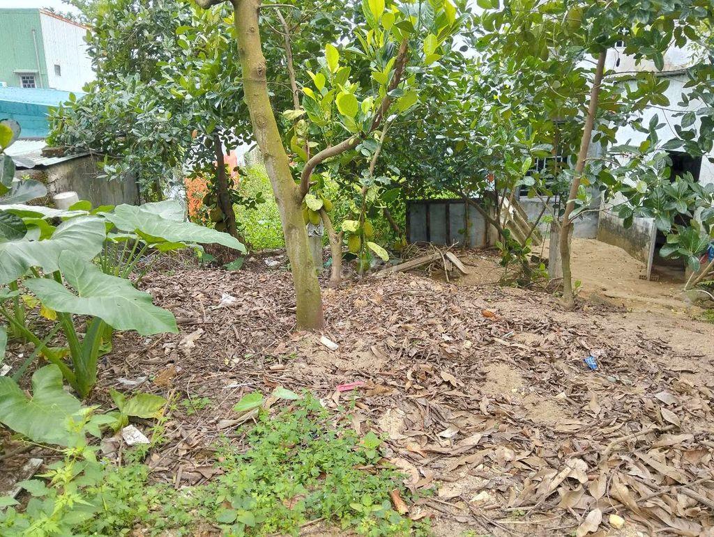 Lô đất ba lá gần chợ thanh vinh. Hoà khánh bắc đà nẵng
