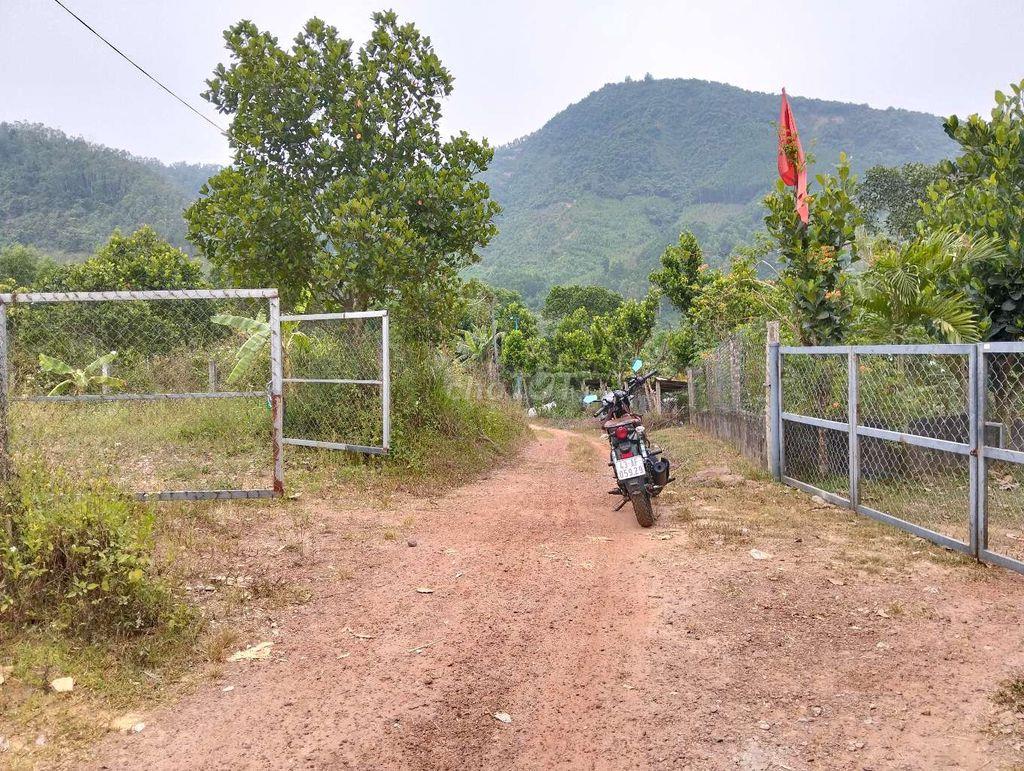 lô đất quy chủ khu đại la. hoàng văn thái