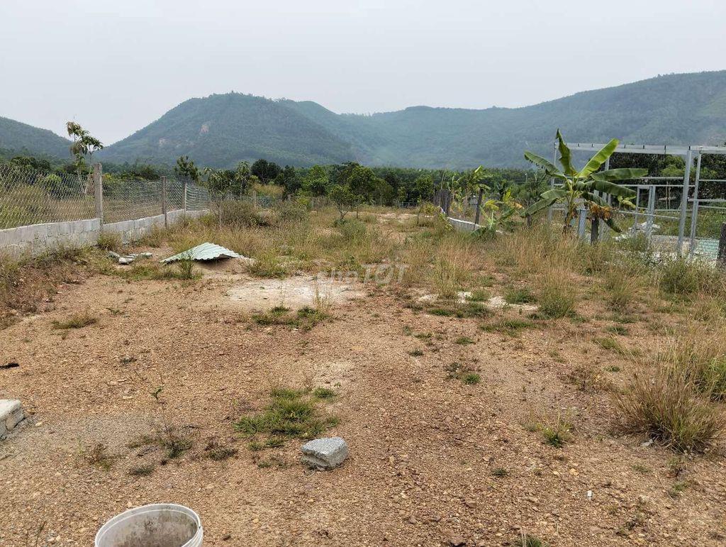 lô đất quy chủ khu đại la. hoàng văn thái