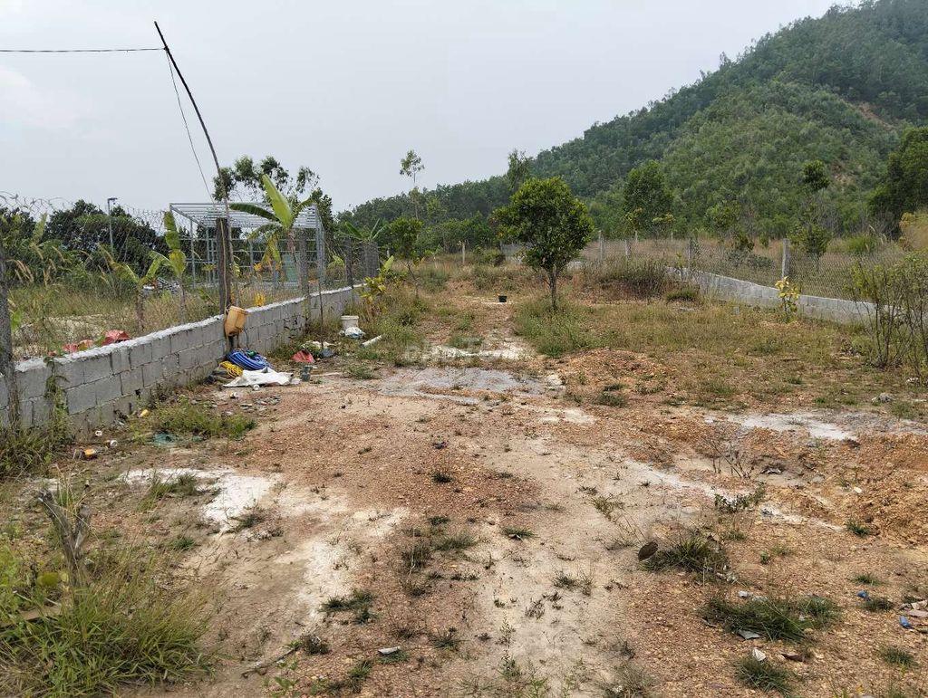 lô đất quy chủ khu đại la. hoàng văn thái
