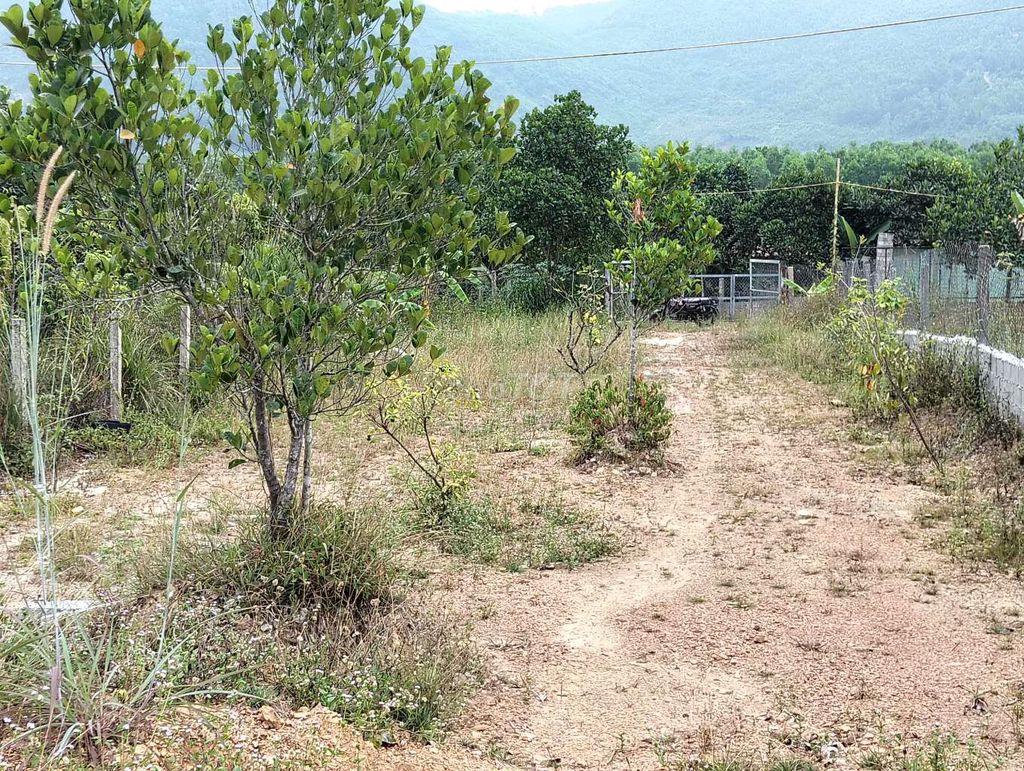 lô đất quy chủ khu đại la. hoàng văn thái