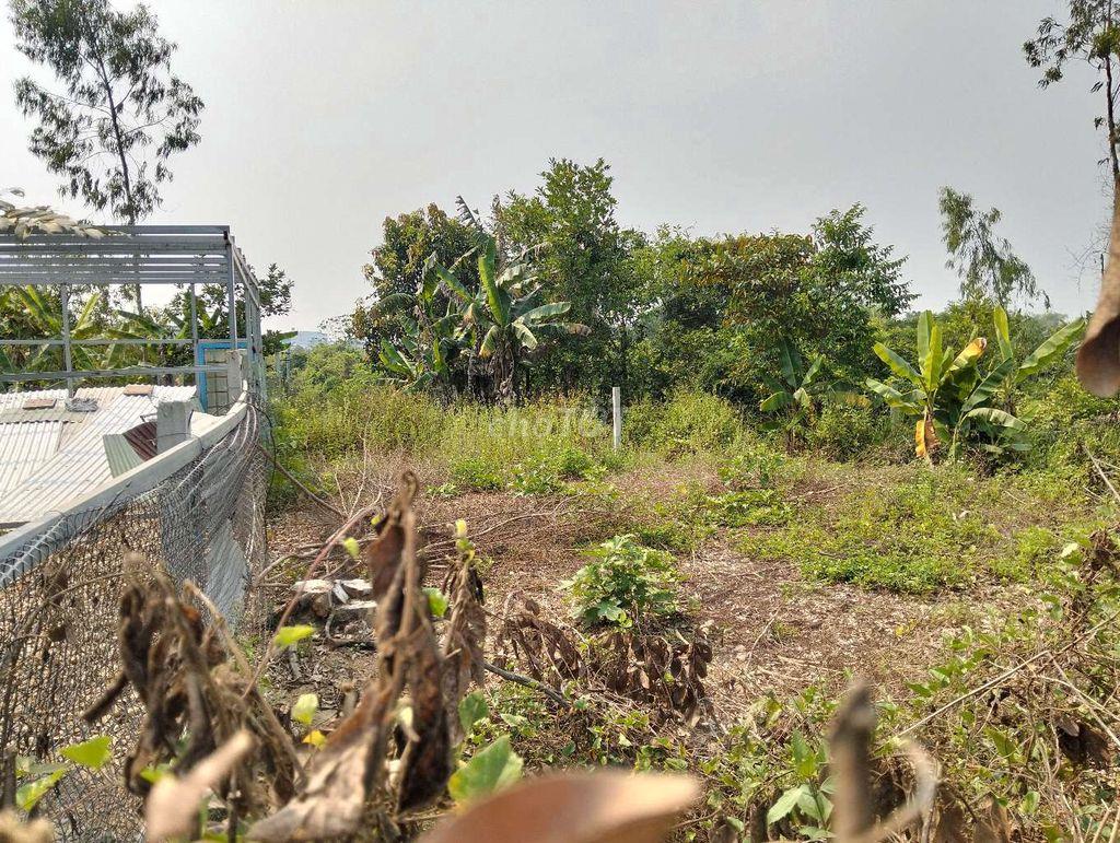 lô đất quy chủ 220m2  k 129 vũ lăng. đà nẵng
