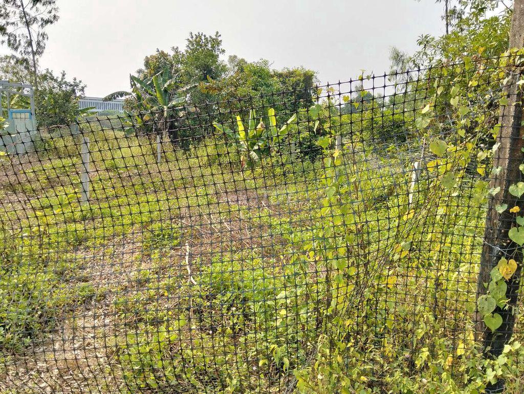 lô đất quy chủ 220m2  k 129 vũ lăng. đà nẵng