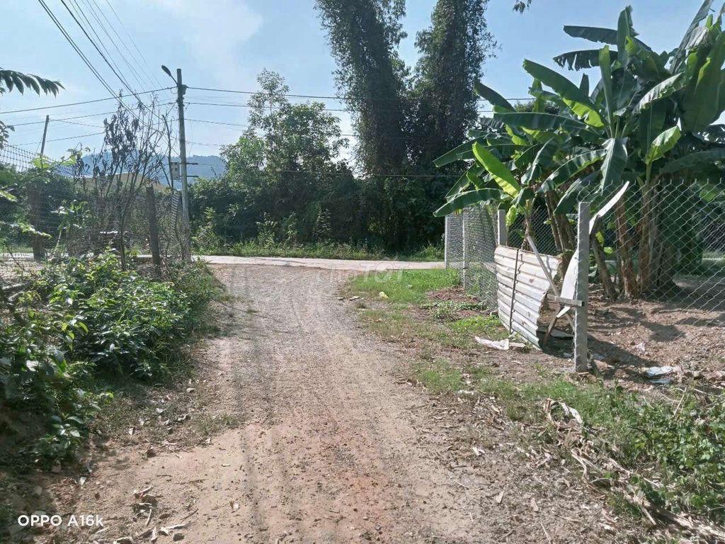 Đất 2 mặt kiệt khu vũ lăng. Hoà phát cẩm lệ