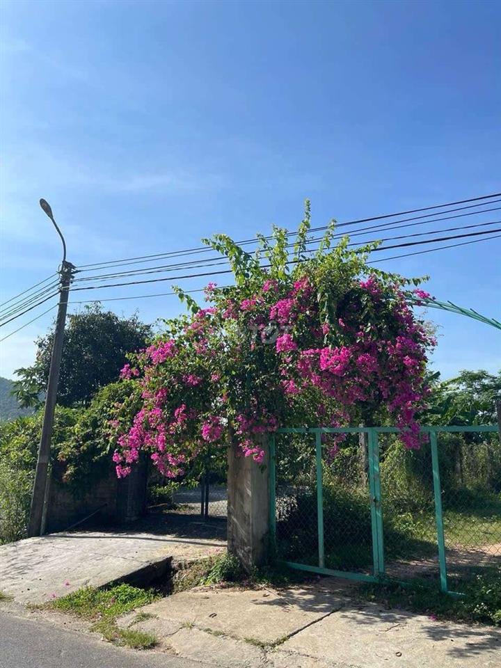 lô đất quy chủ ngô xuân thu nối dài. đà nẵng 