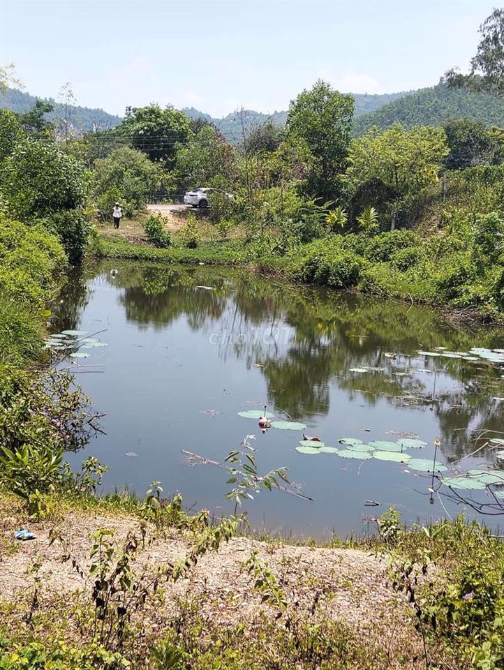 lô đất quy chủ ngô xuân thu nối dài. đà nẵng 