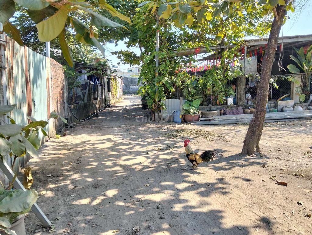 đất ba lá khu nguyễn bính. khu bến xe trung tâm đà nẵng 