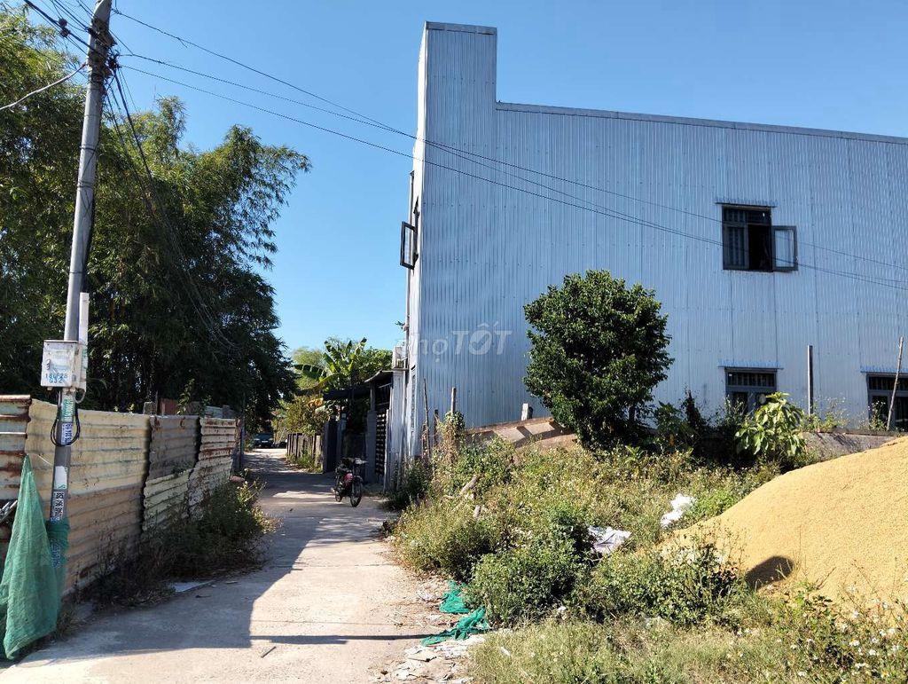 lô đất sổ hồng đất trồng cây hàng năm khu tôn đản. đà nẵng 