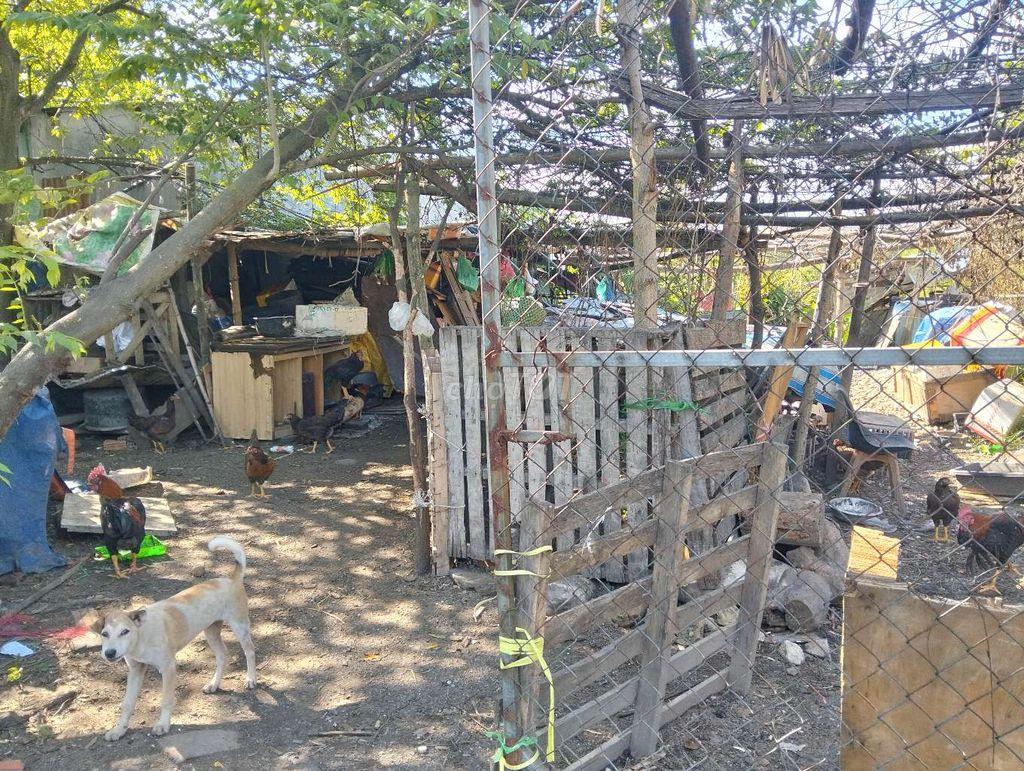 lô đất trồng cây hàng năm bên hông chợ hoà phát tôn đản đà nẵng