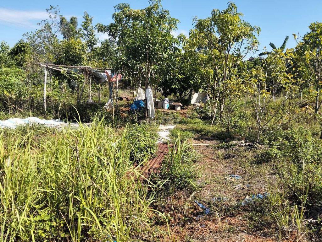 Cụm đất 10 lô gần khu TĐC nguyễn như đãi cẩm lệ 