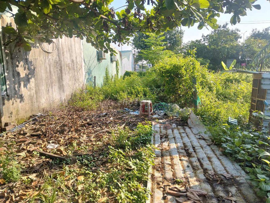Đất nông nghiệp mặt tiền đường mai văn ngọc. đà nẵng 