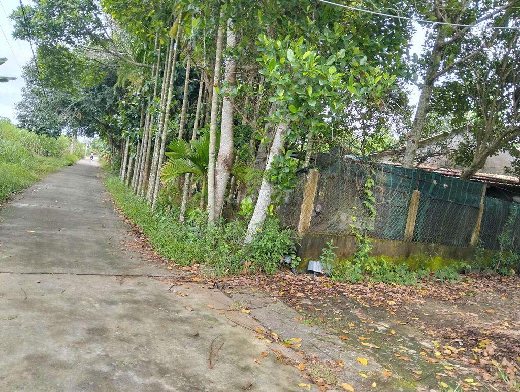 lô đất sổ hồng đất trồng cây hàng năm khu hoà nhơn đà nẵng 