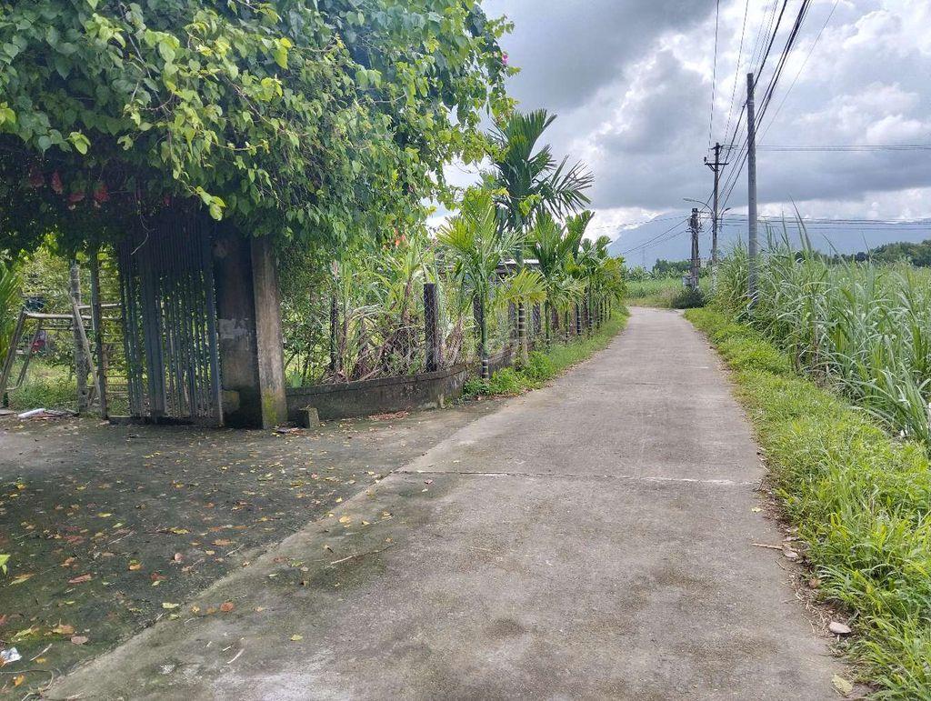 lô đất sổ hồng đất trồng cây hàng năm khu hoà nhơn đà nẵng 
