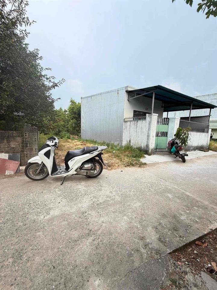 Đất kiệt Trần Hưng Đạo Điện Ngọc