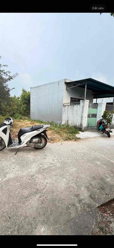 Đất kiệt Trần Hưng Đạo Điện Ngọc
