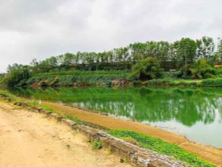 Bán đất view sông Tuý Loan