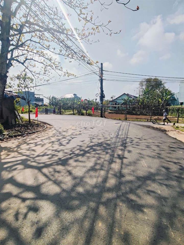 MẶT TIỀN ĐINH THỊ THÔI 120M ĐƯỜNG 9M NGANG ĐẸP 7M 