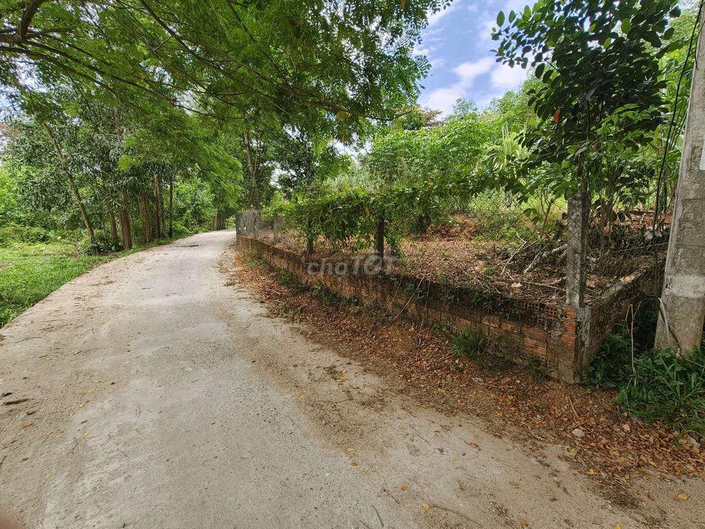 cần tiền cần bán đất vườn mặt tiền đường bê tông view đẹp