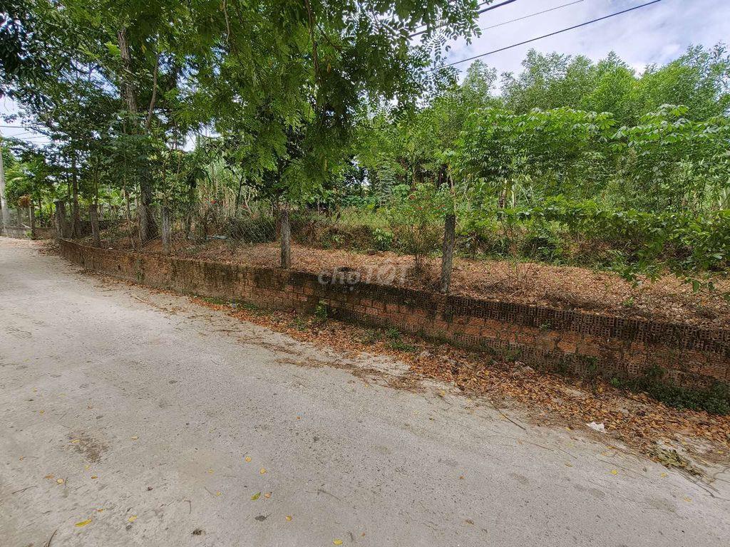 cần tiền cần bán đất vườn mặt tiền đường bê tông view đẹp