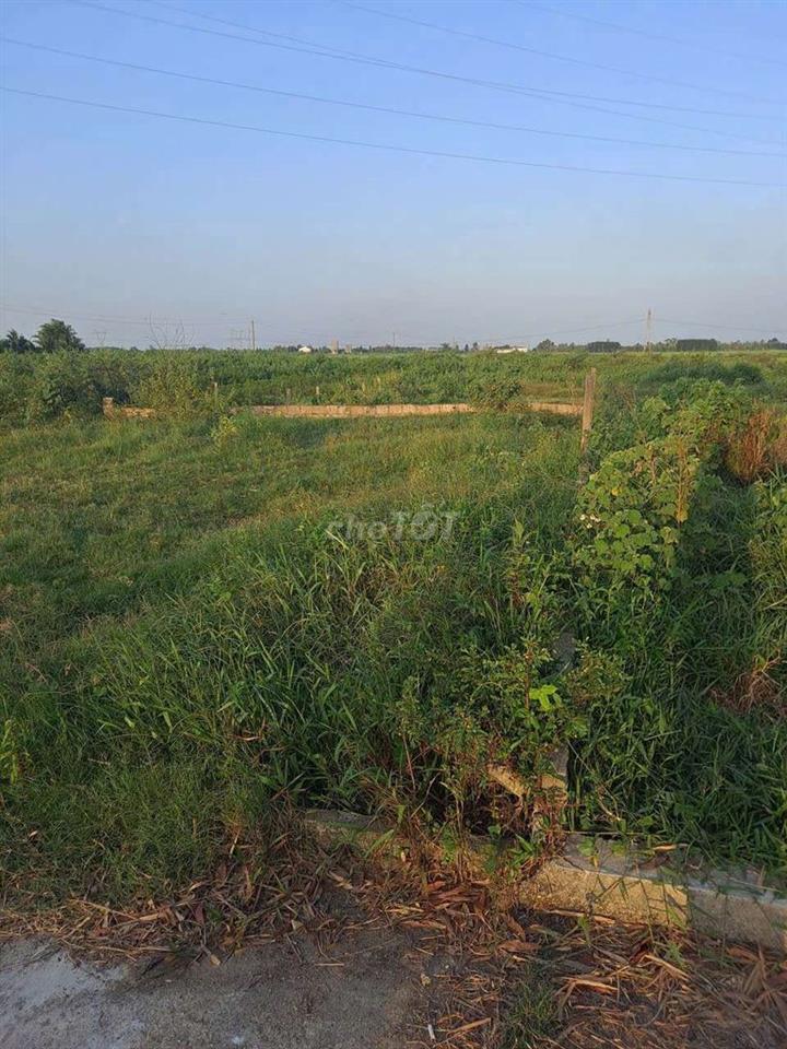 Bán đất 700m² – CÓ 122m² ĐẤT Ở – PHÚ SƠN 2, HÒA KHƯƠNG – CHỈ 1,85 TỶ