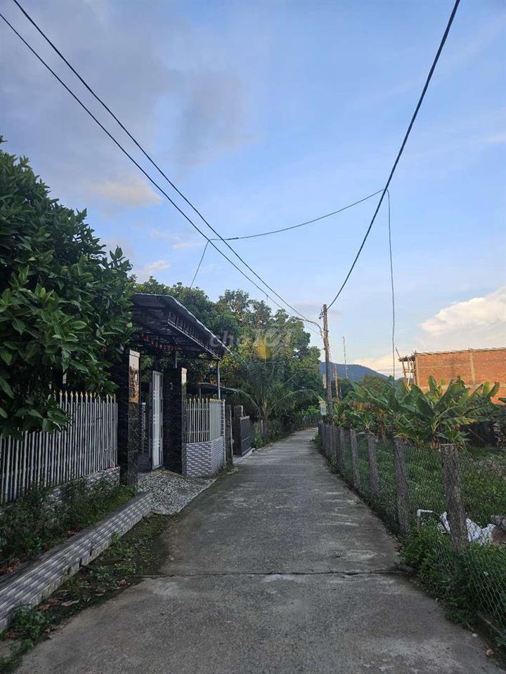 Cần bán lô đất nhà vườn thôn nam yên 530m2, góc ngã 3