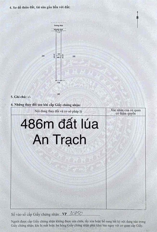 Bán gần 1 sào đất chuyên Lúa nước