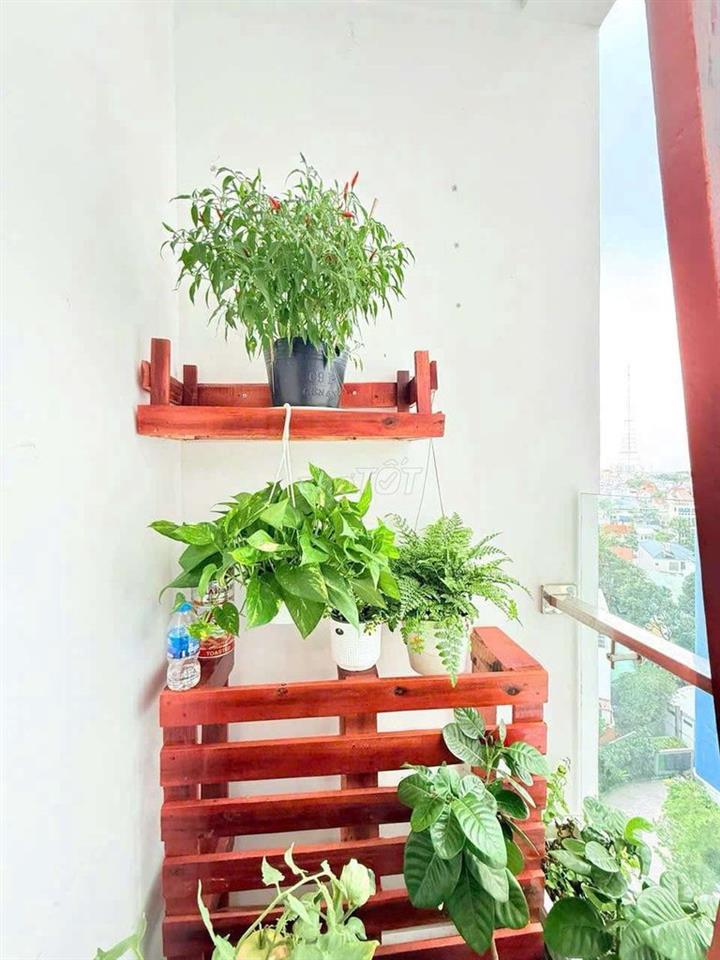 7TR5 – THUÊ 1PN FULL NỘI THẤT C SKYVIEW – CHÁNH NGHĨA, TDM, BÌNH DƯƠNG