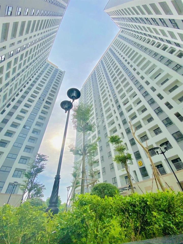 CHÍNH CHỦ NẮM RỔ HÀNG CHO THUÊ CĂN HỘ IRIS TOWER GIÁ RẺ