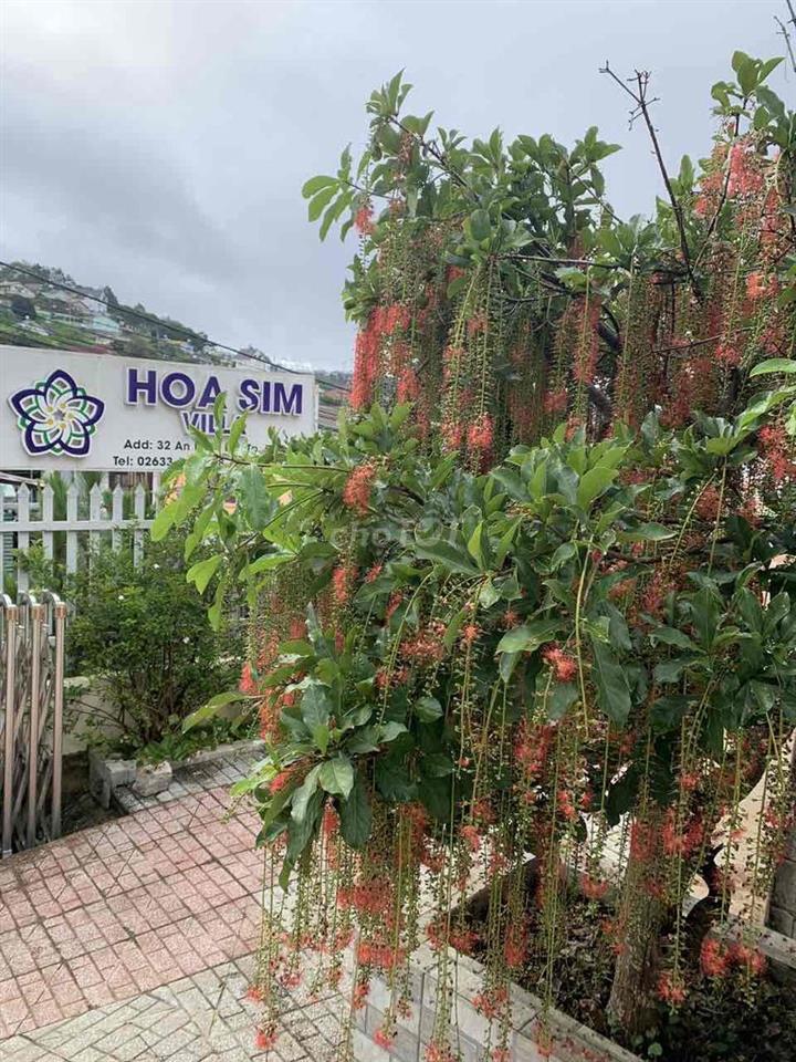 sang nhượng đất và biệt thự Đà Lạt