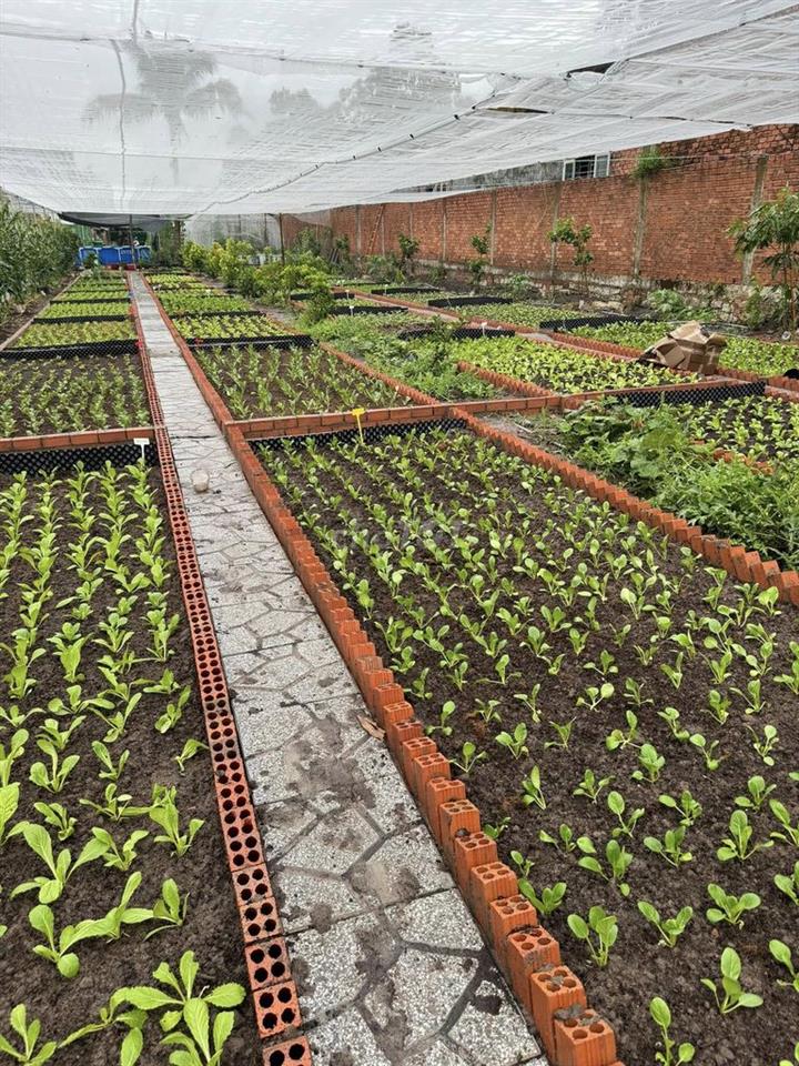 Cho thuê nhà vườn 3000m2 ngay trung tâm thủ dầu một