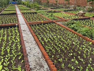 Cho thuê nhà vườn 3000m2 ngay trung tâm thủ dầu một
