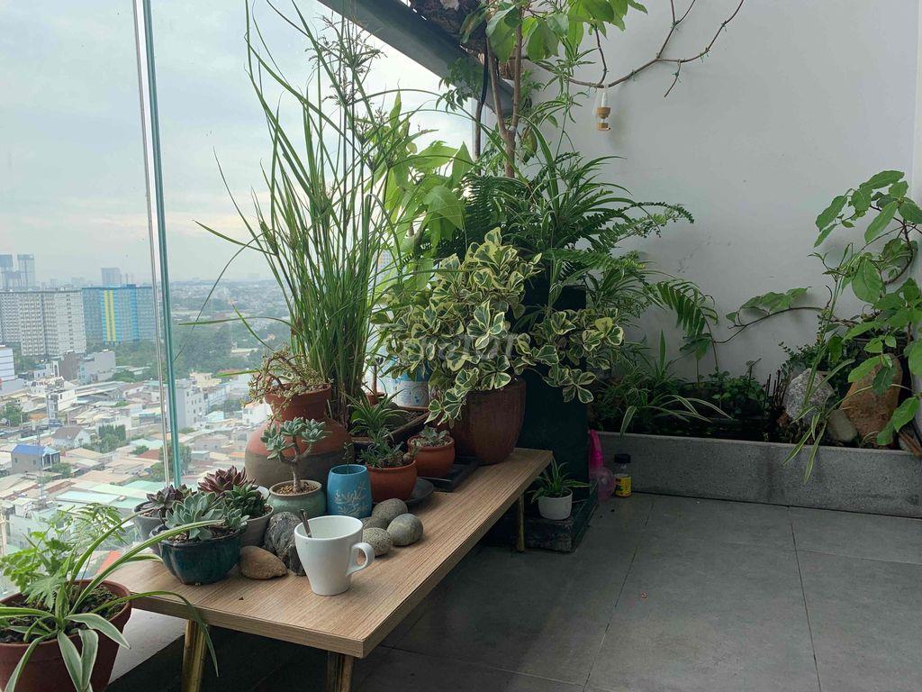 Căn hộ chính chủ cần bán