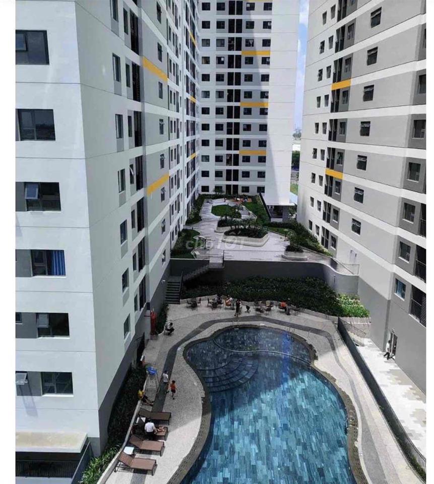 Chính chủ cần bán gấp