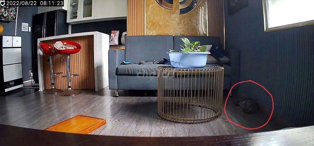 BÁN căn hộ 40m giá rẻ 9xx triệu bao thuế