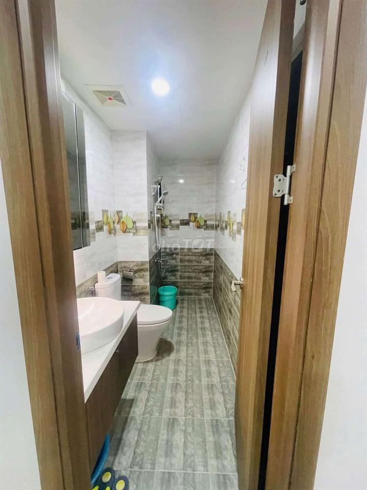 Cho thuê căn hộ Biconsi Tower Thủ Dầu Một, 2PN, Full nội thất 