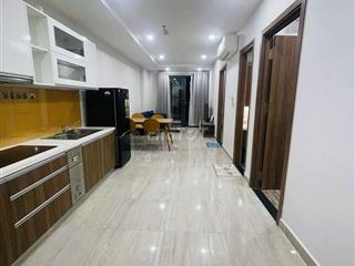 Cho thuê căn hộ Biconsi Tower Thủ Dầu Một, 2PN, Full nội thất 