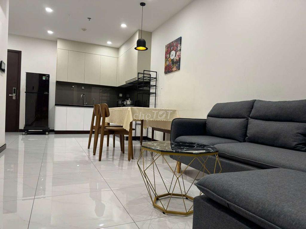 Cho thuê căn hộ C SKY-VIEW Thủ Dầu Một, 2PN, full nội thất 