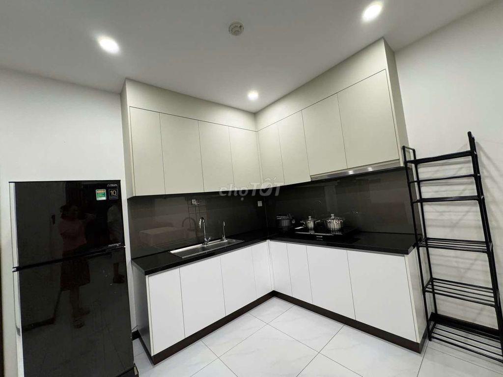 Cho thuê căn hộ C SKY-VIEW Thủ Dầu Một, 2PN, full nội thất 