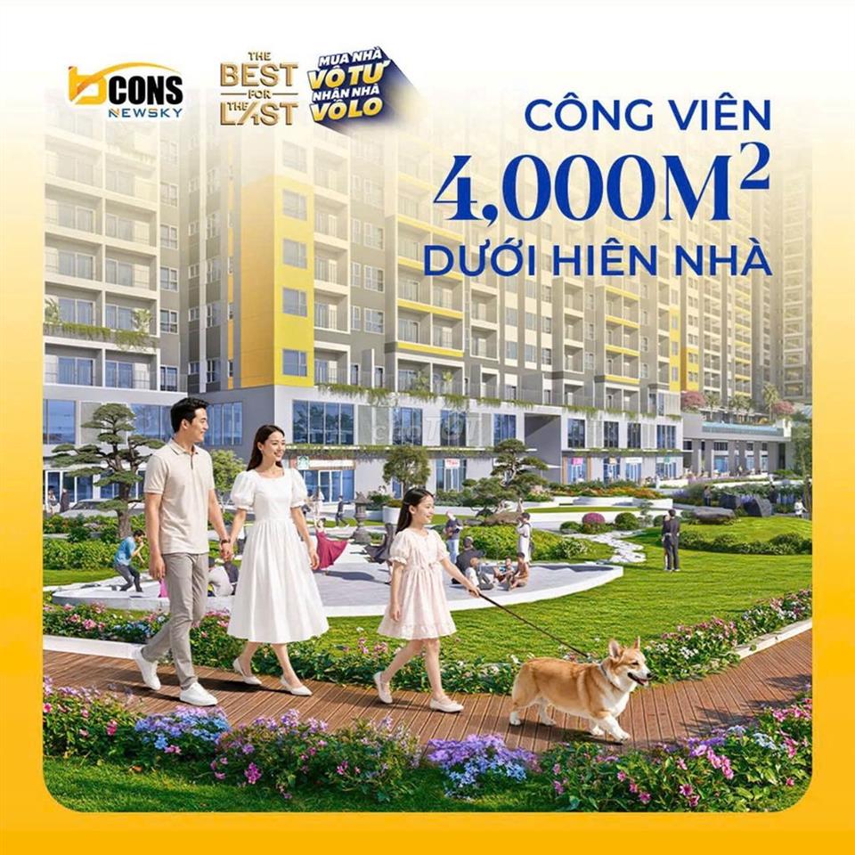 Chung Cư Căn Hộ 