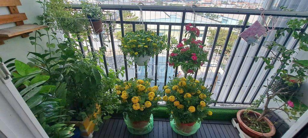 Chính chủ bán căn hộ HLPĐ, giá mềm 3,5 tỷ, sổ hồng riêng, giáp Thủ Đức